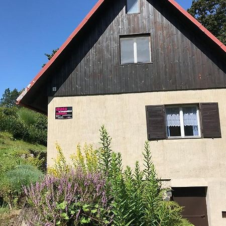 Chata U Koupaliste Chřibská Eksteriør billede