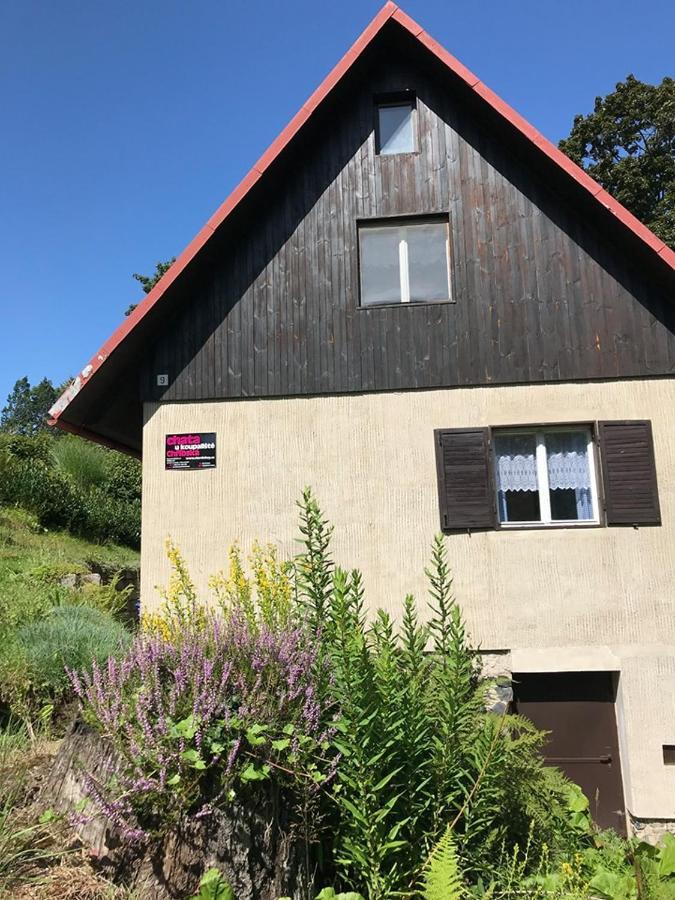 Chata U Koupaliste Chřibská Eksteriør billede